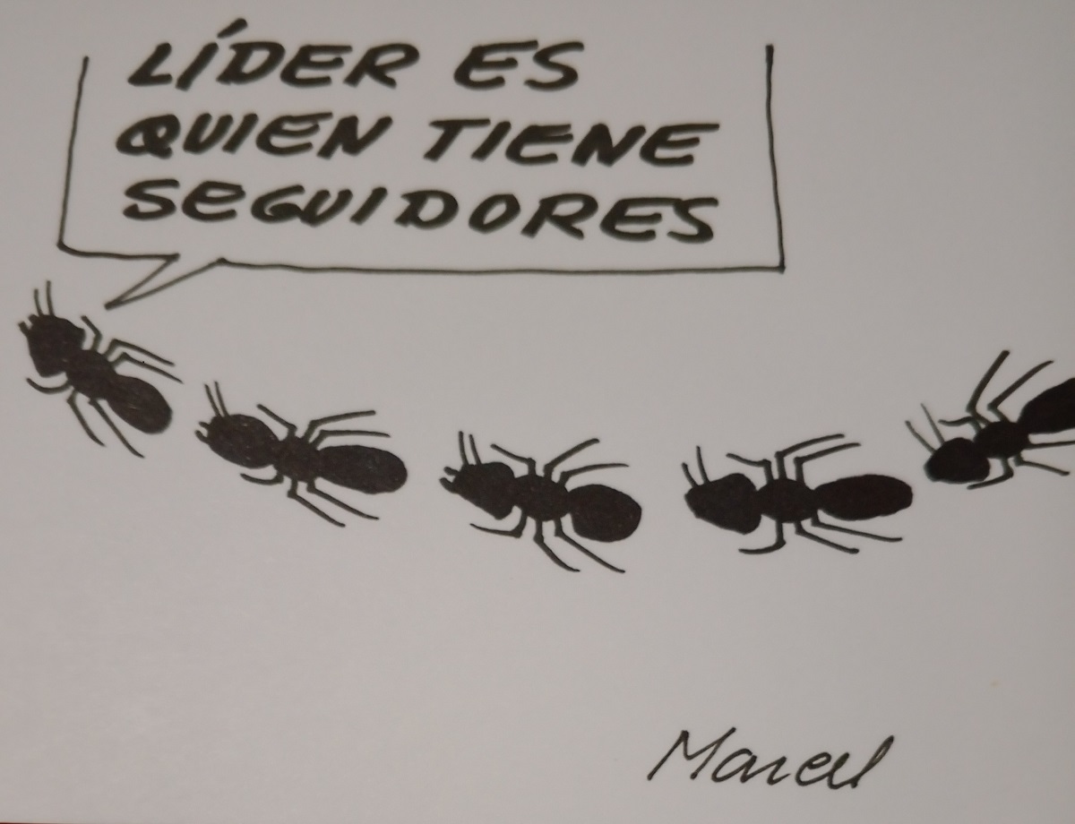 RevistaEnElTapete