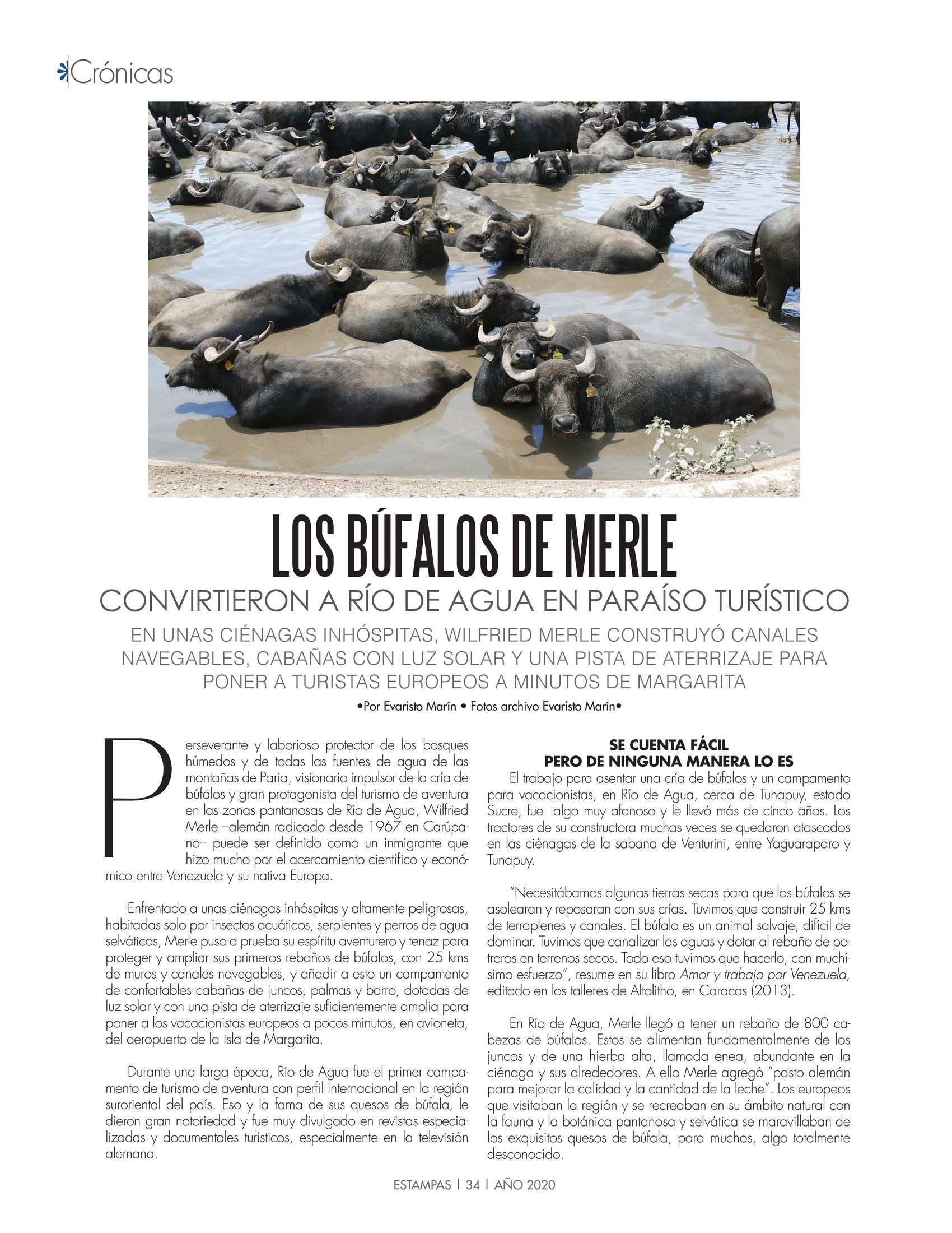 34-REV Los búfalos de Merle convirtieron a Río de Agua en paraíso turístico