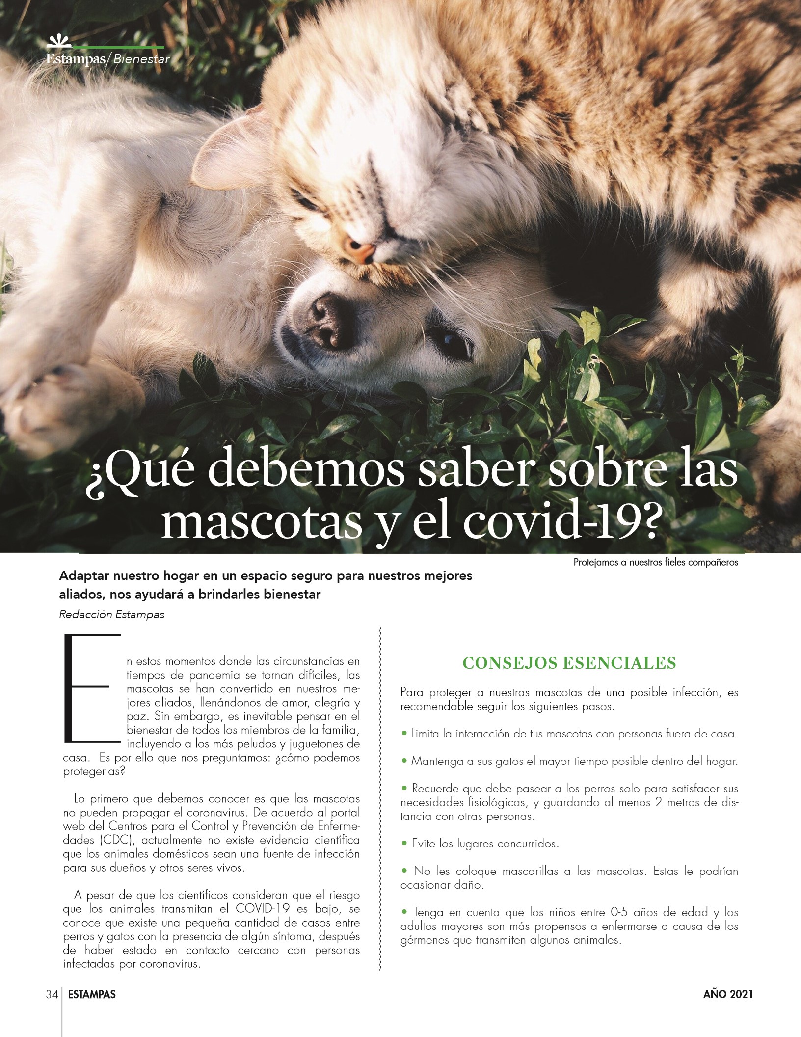 34-REV Mascotas: ¿Qué debemos saber sobre las mascotas y el covid-19? 