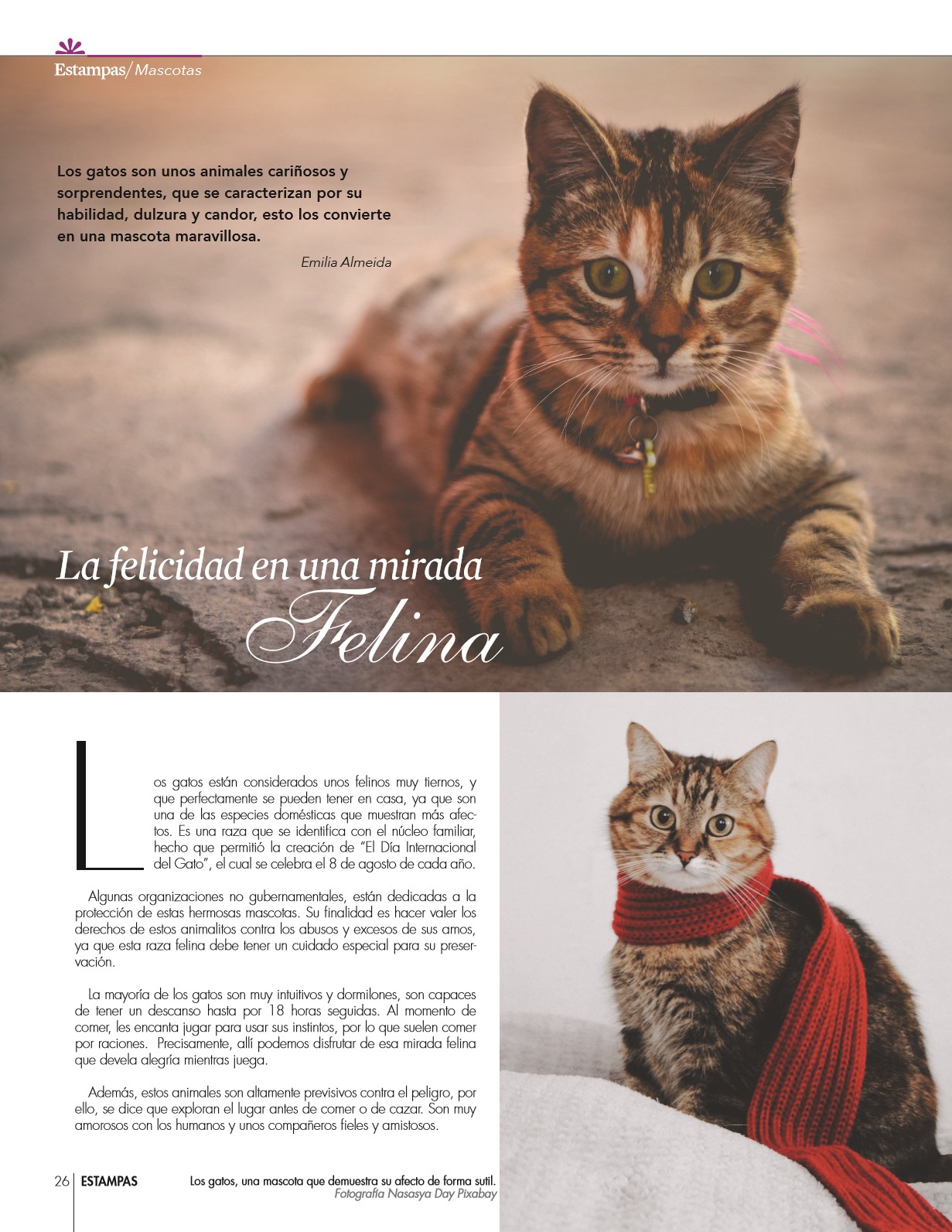 26-REV Entretenimiento-Emilia-Almeida-La-felicidad-en-una-mirada-felina-