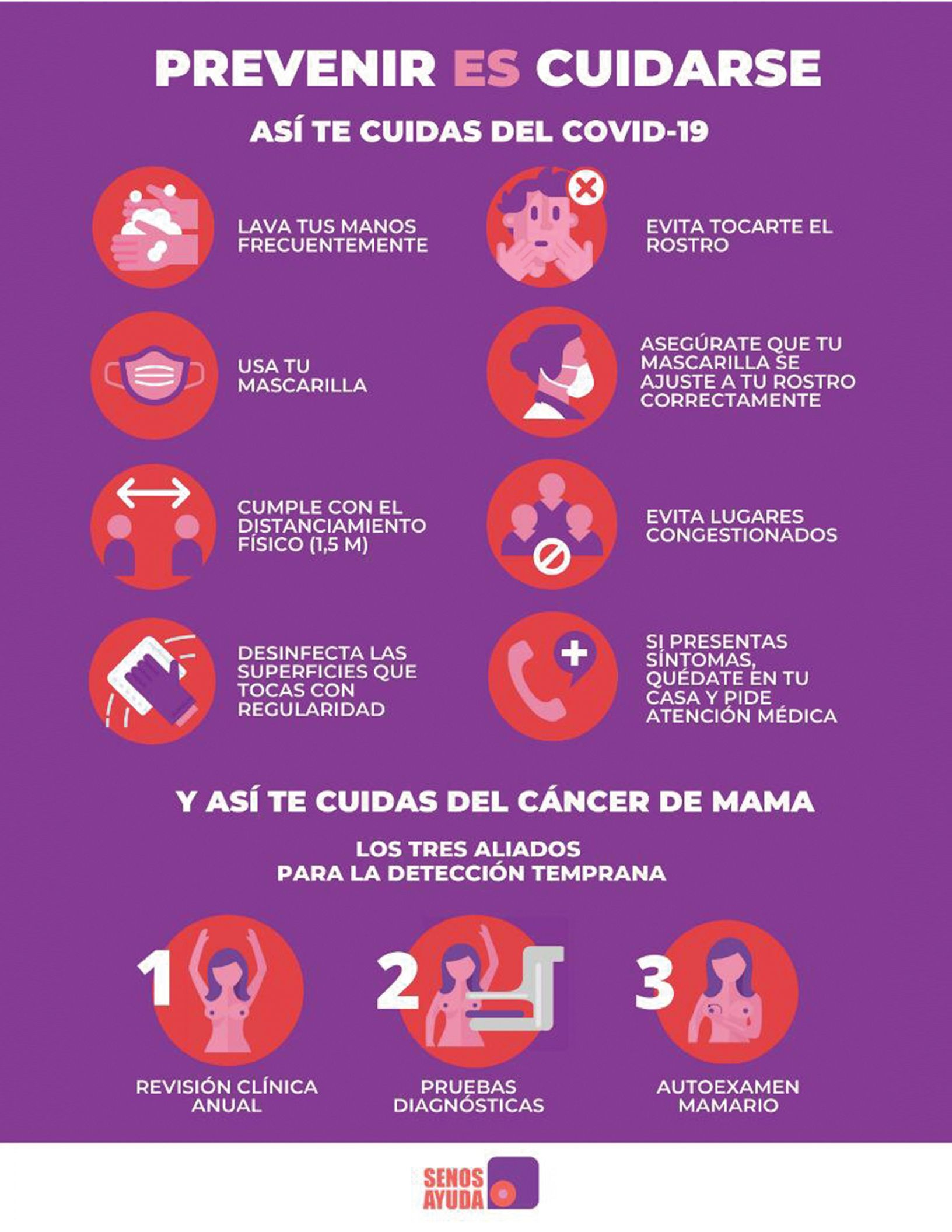4-REV Senos ayuda (Nuevo)