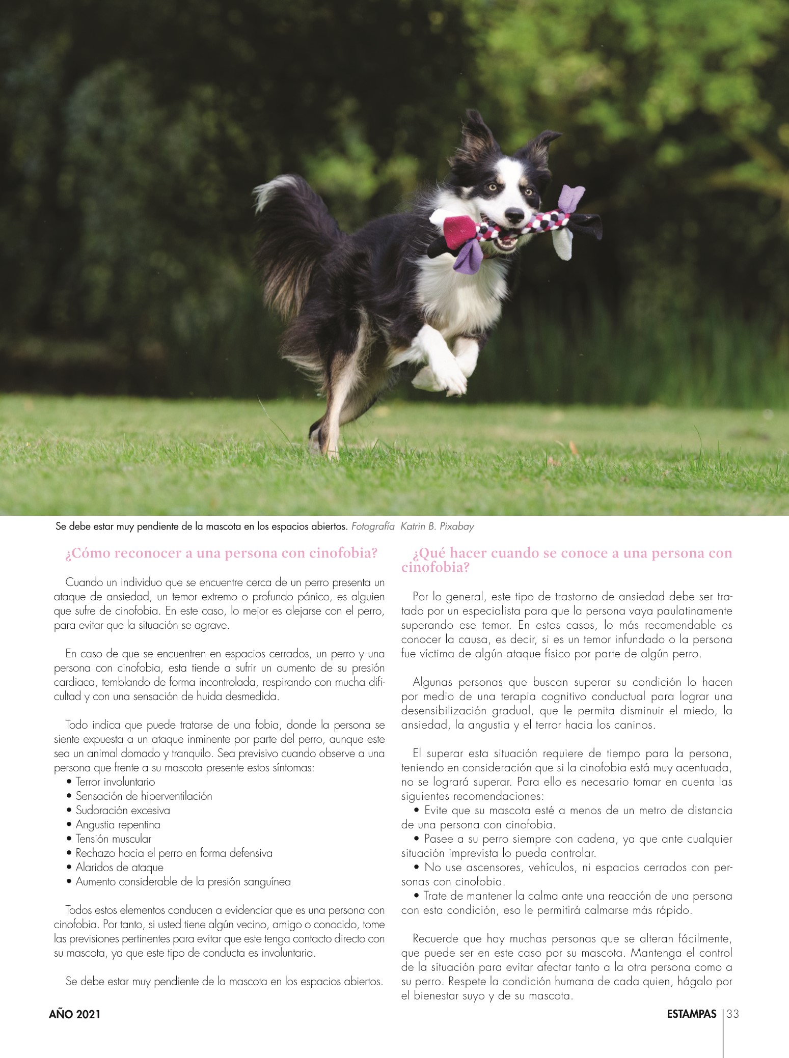 33-REV Entretenimiento Mascotas Emilia Almeida Conoces la cinofobia Temor a tu Perro