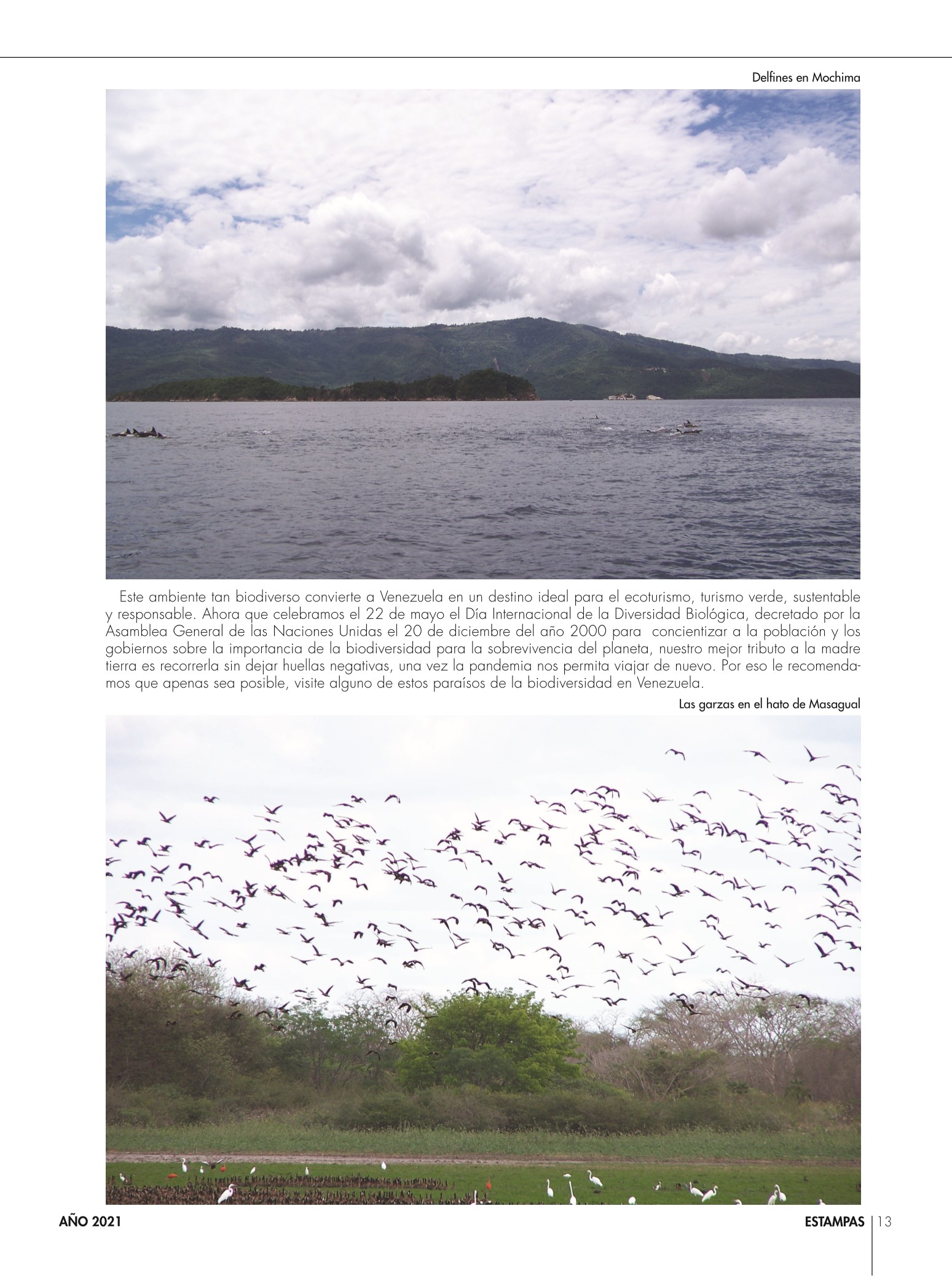 13-REV Entretenimiento Turismo Por Álvaro Montenegro Biodiversidad turística en Venezuela