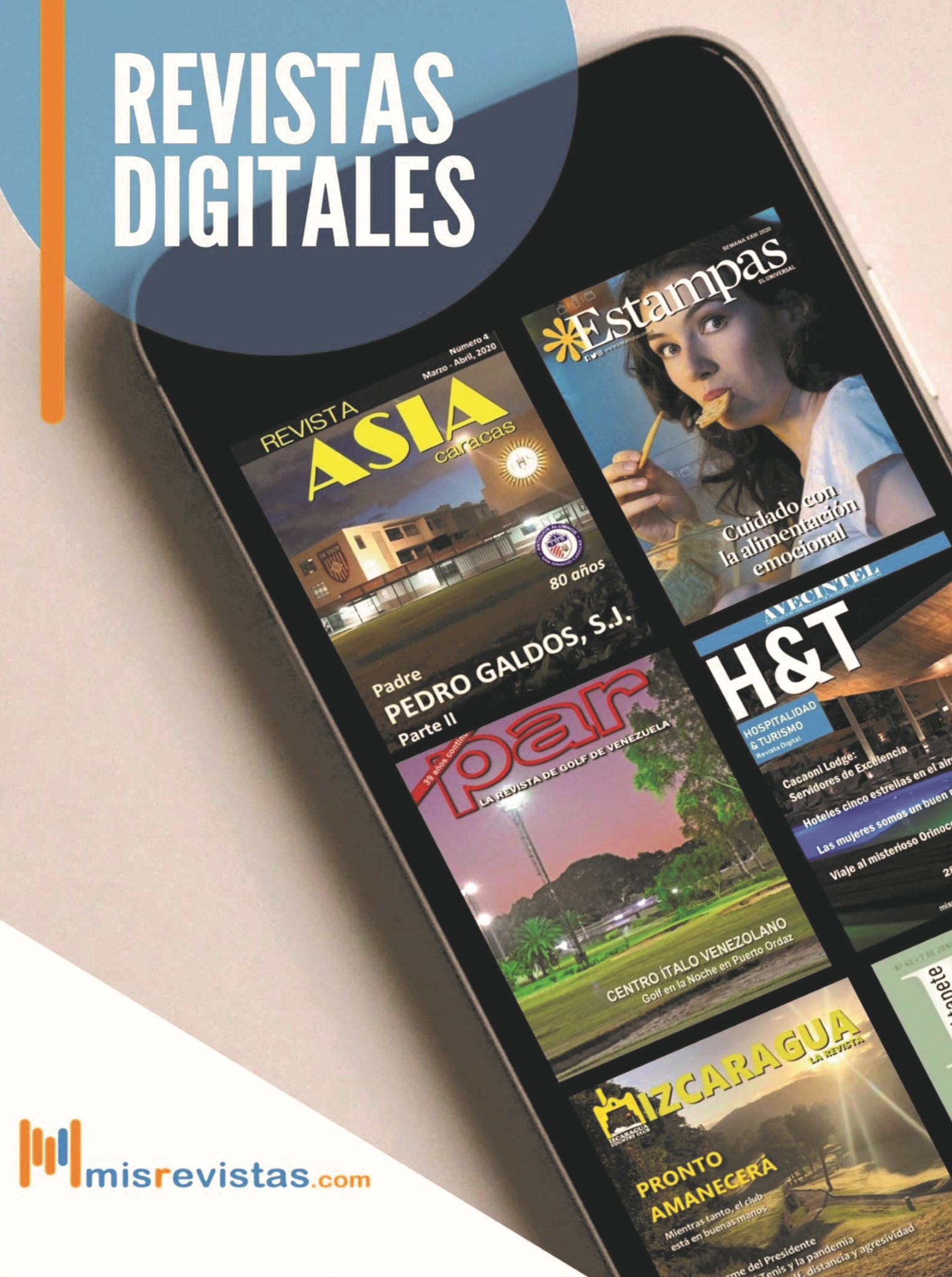 19-REV Misrevistas 
