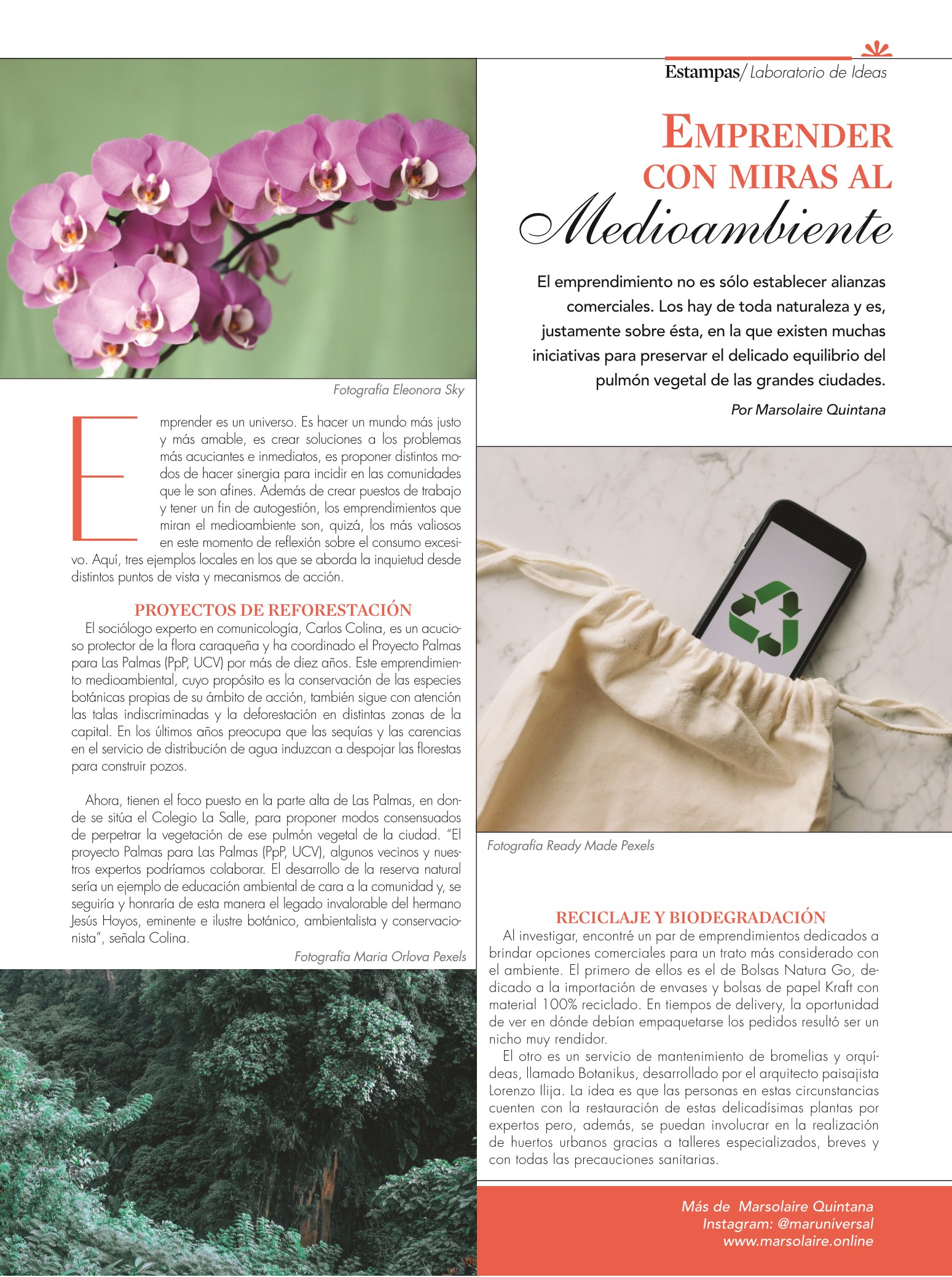 31-REV Entretenimiento Emprendedores Laboratorio de Ideas Por Marsolaire Quintana Emprender con miras al medioambiente