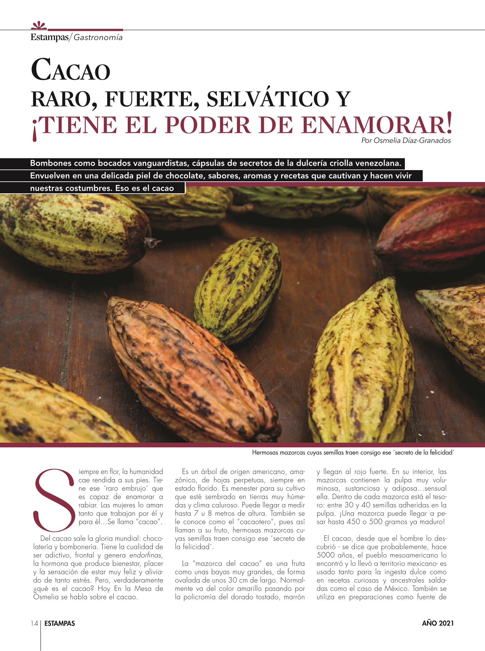 14-REV Cocina Gastronomía Osmelia Díaz Granados Cacao raro fuerte selvático tiene poder enamorar