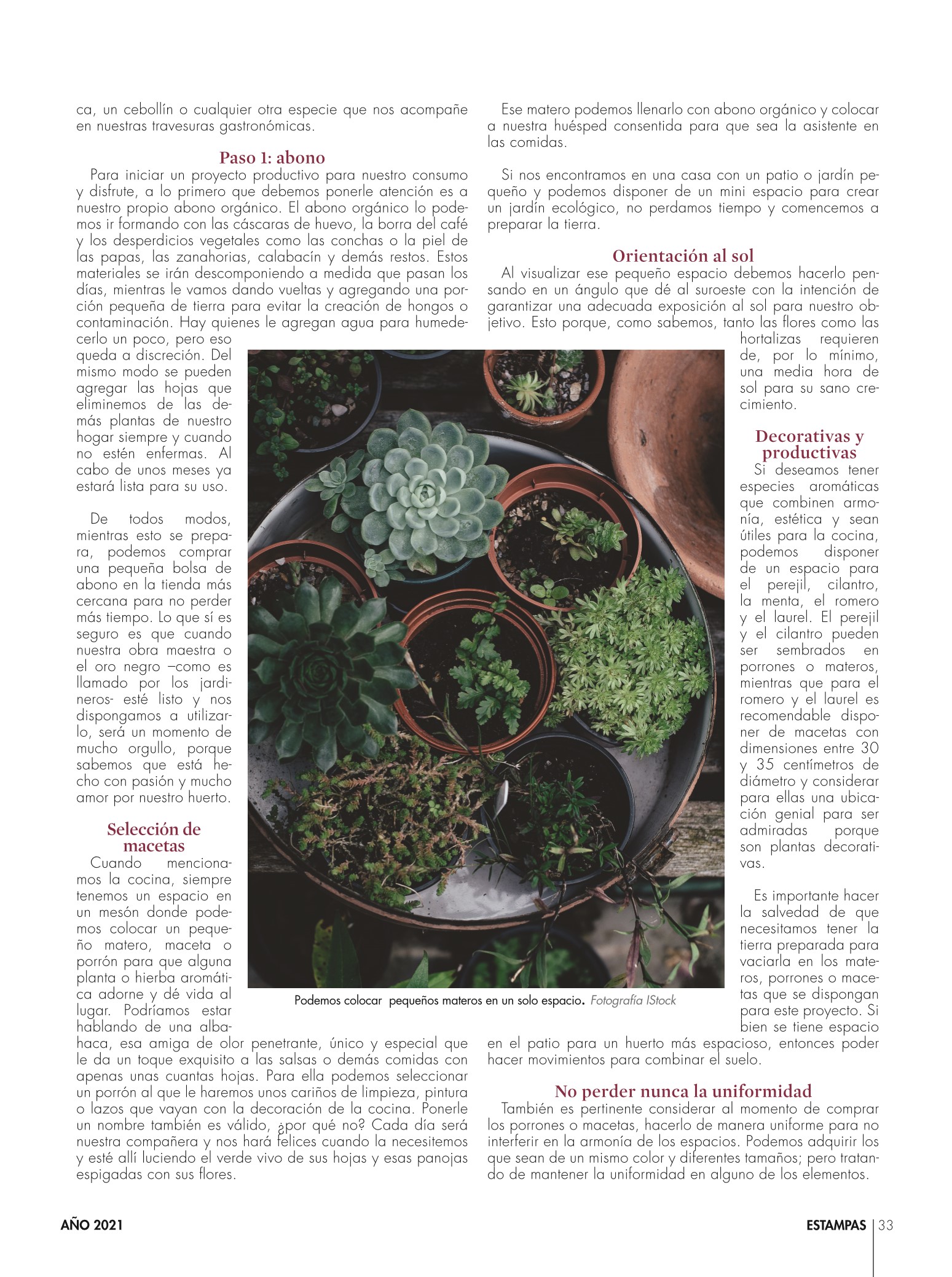 33-REV Decoración Sjandra Rendón Jardines orgánicos atractivos productivos