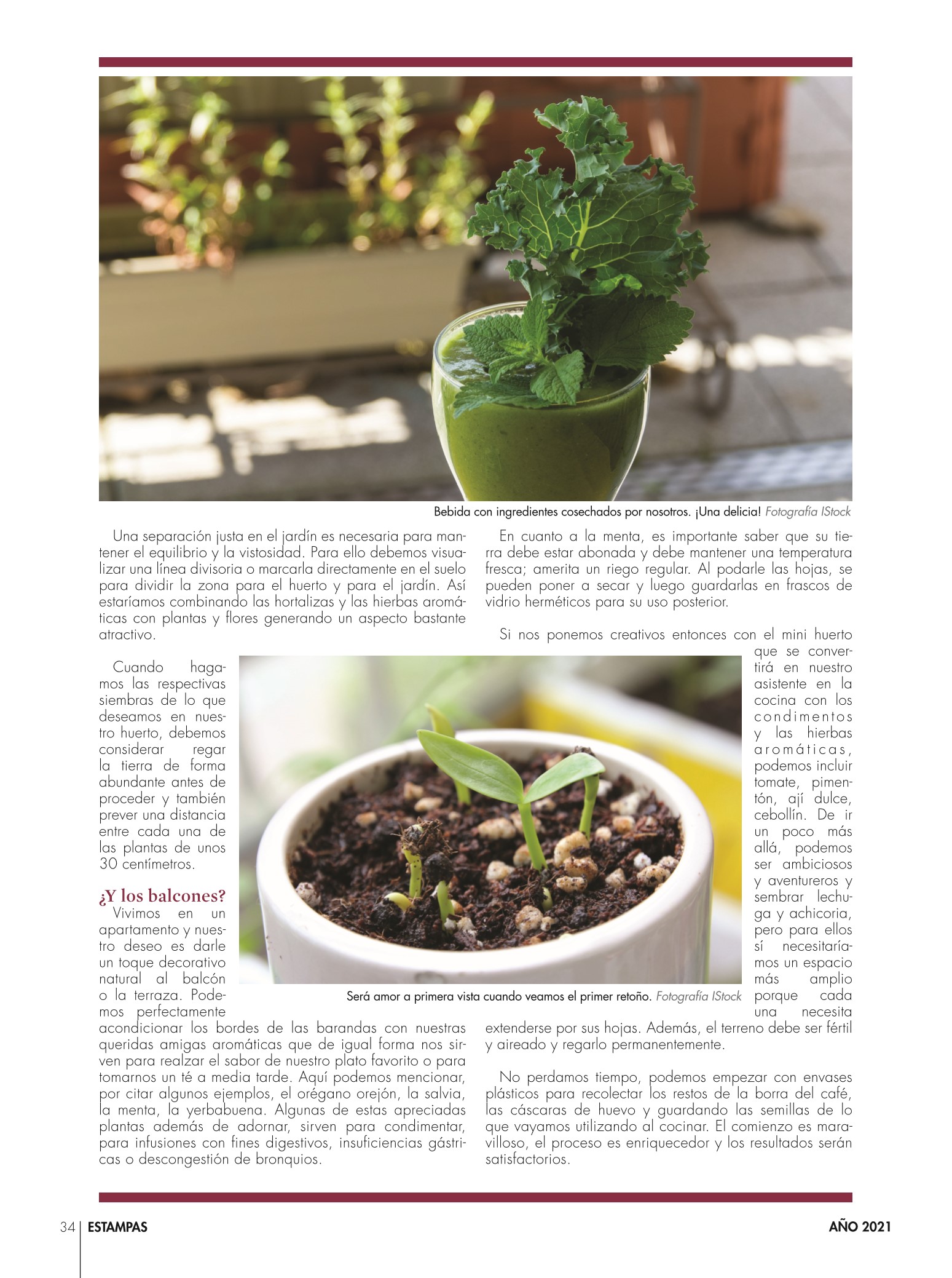 34-REV Decoración Sjandra Rendón Jardines orgánicos atractivos productivos