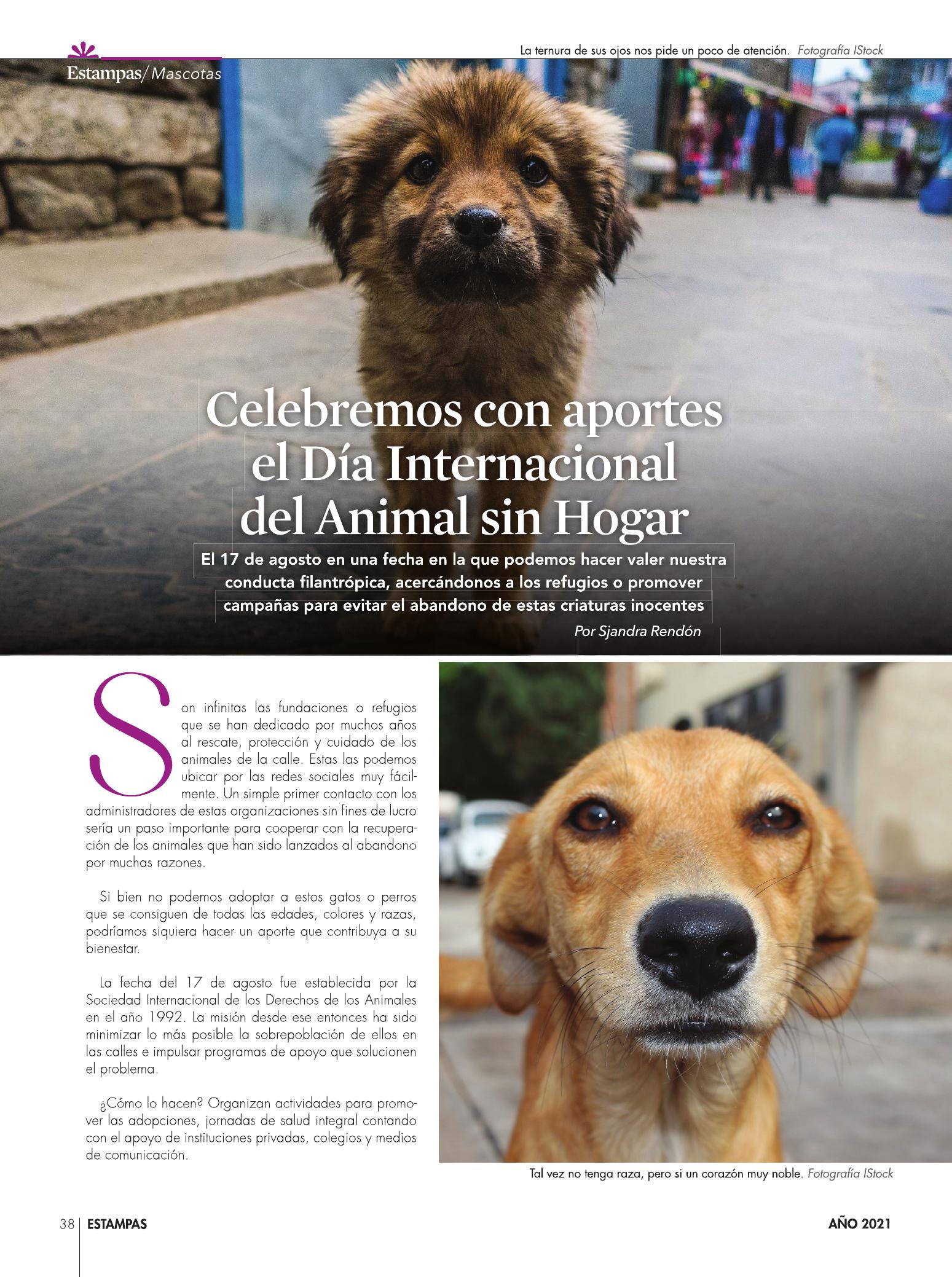 38-REV Mascotas Celebremos con aportes el Dia Internacional del Animal sin Hogar