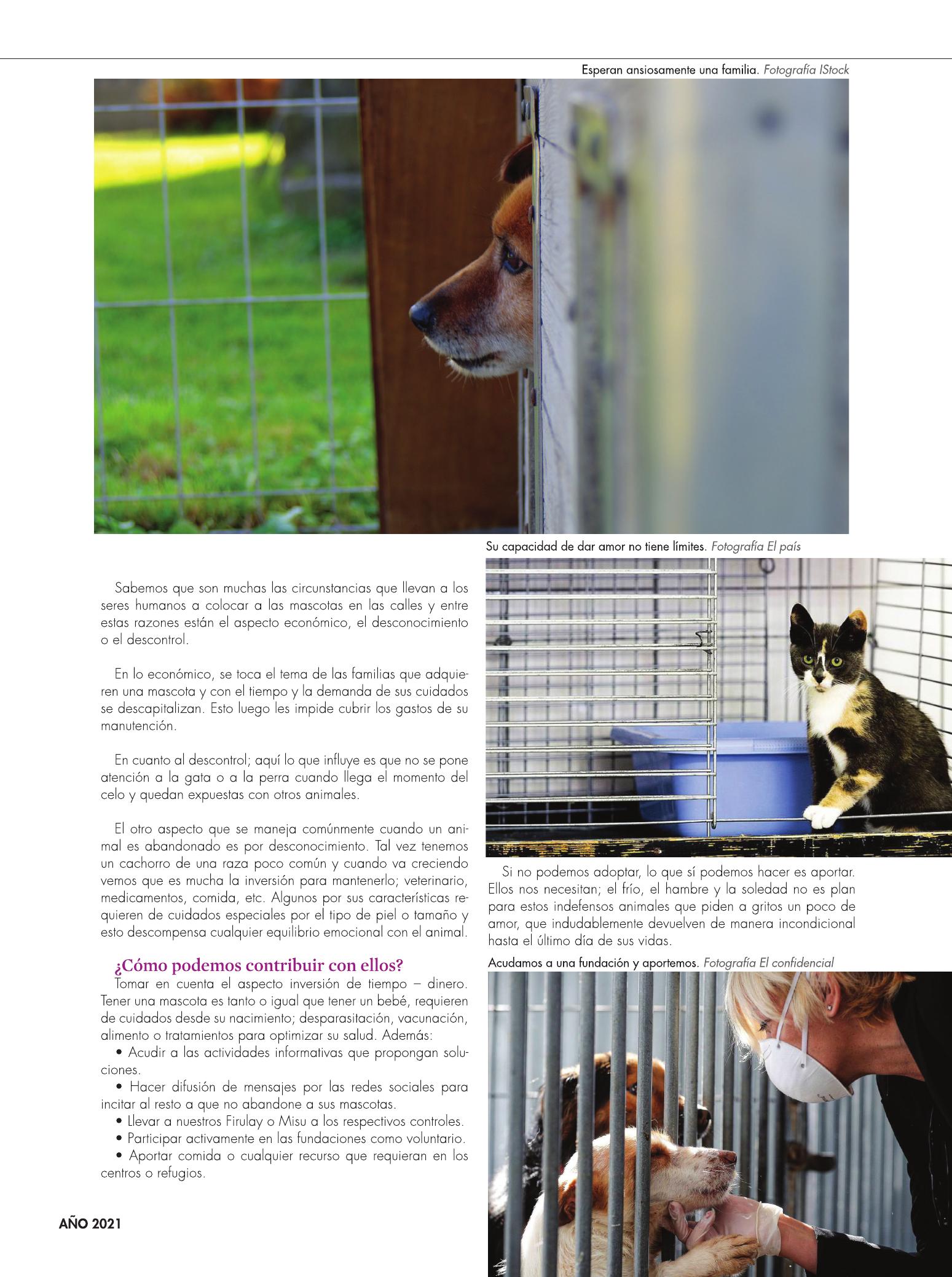 39-REV Mascotas Celebremos con aportes el Dia Internacional del Animal sin Hogar