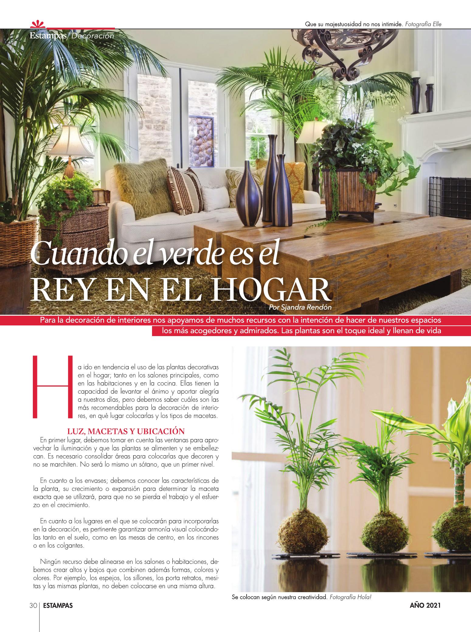 30-REV Decoración  Cuando el verde es el rey en el hogar