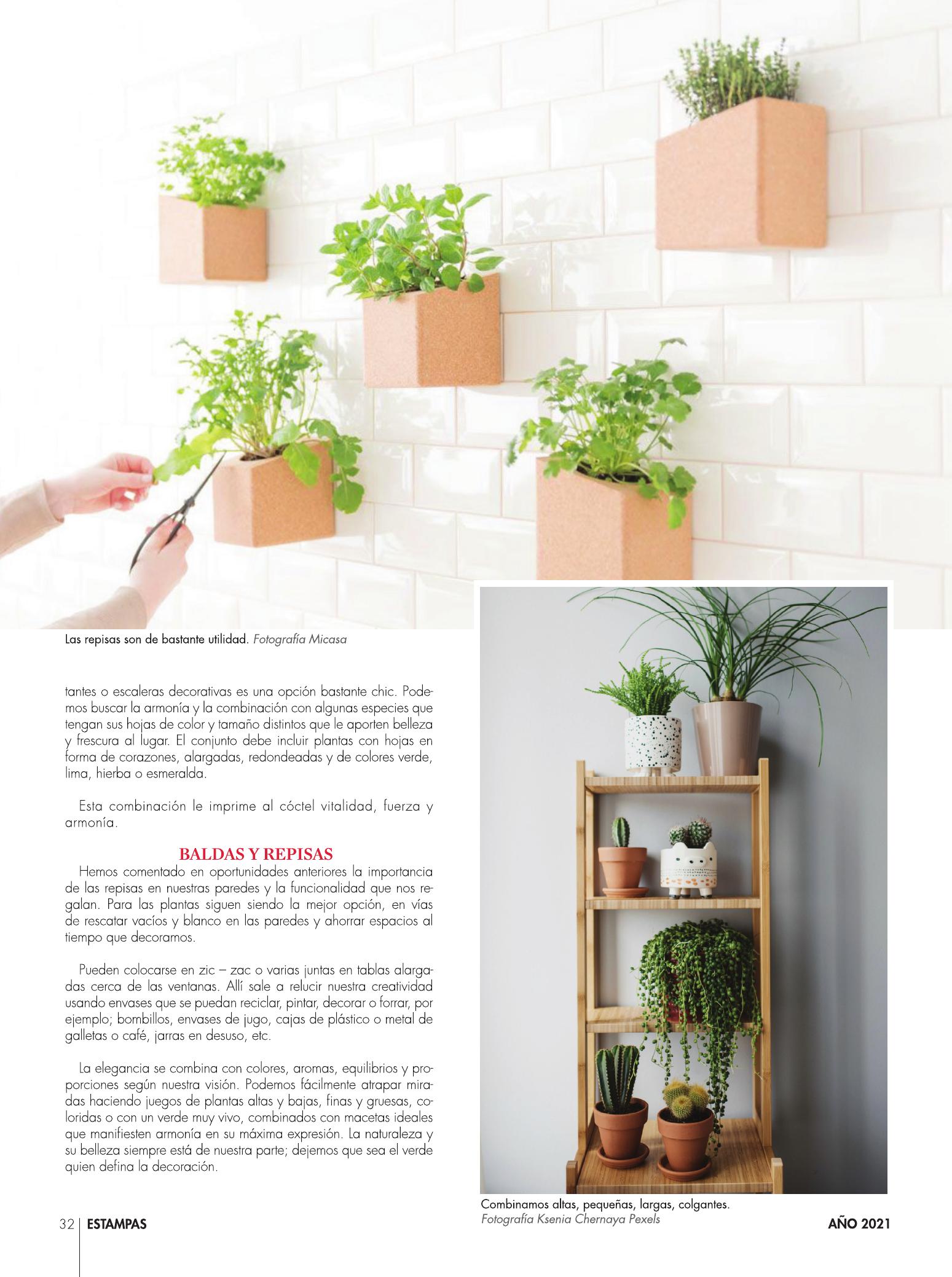 32-REV Decoración  Cuando el verde es el rey en el hogar