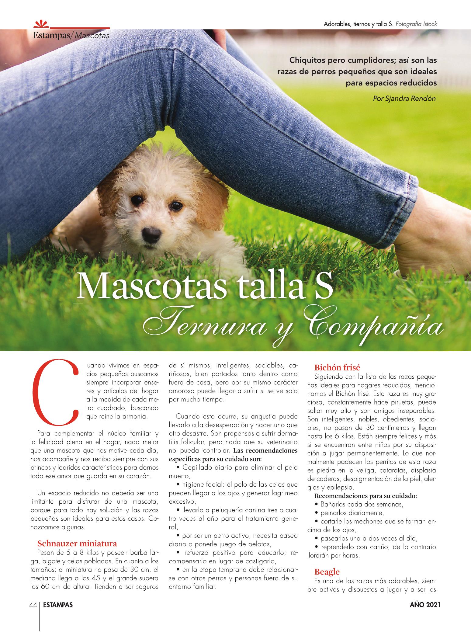 44-REV Mascotas talla S ternura y compañía  