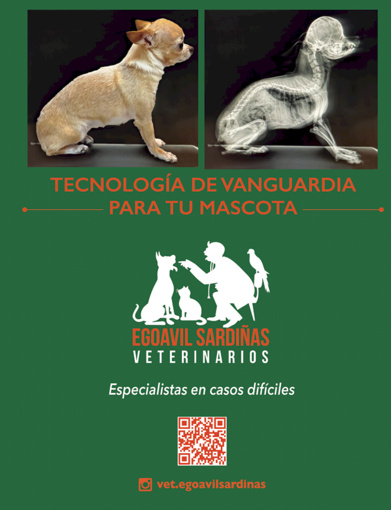 50-REV Egoavil Sardiñas Veterinarios