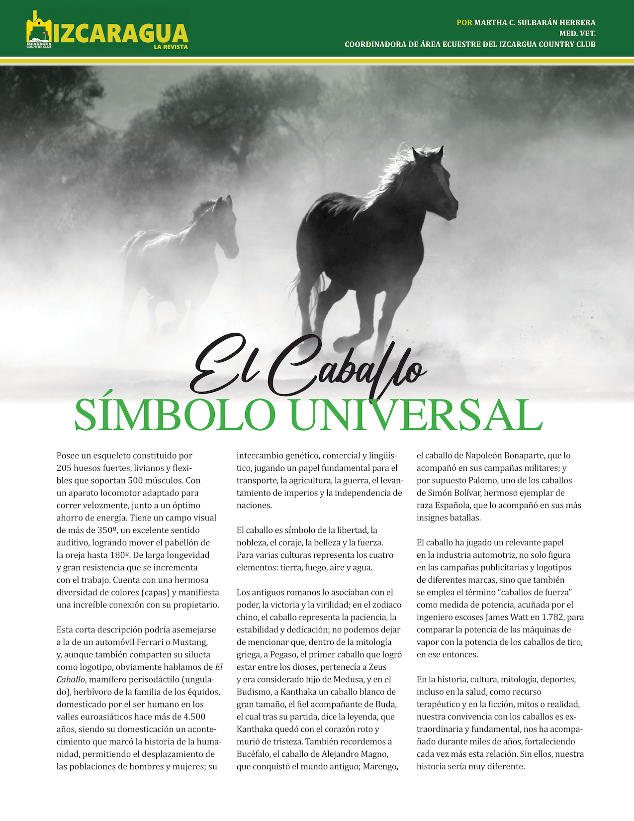 15-REV El Caballo, Símbolo Universal