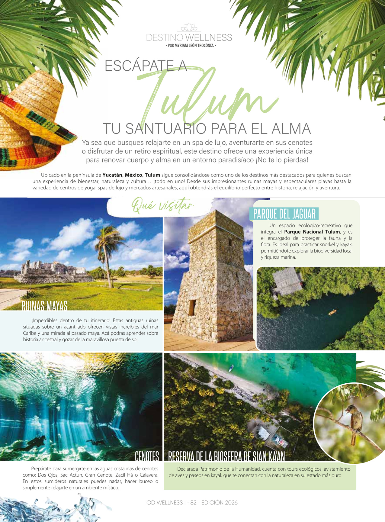 87-REV Ocean Drive Wellness I 2026 Pag 87